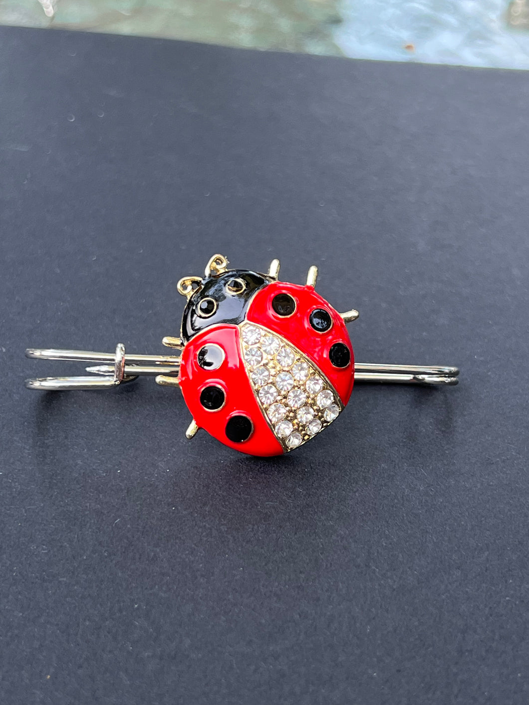 Ladybug Sweater Pin