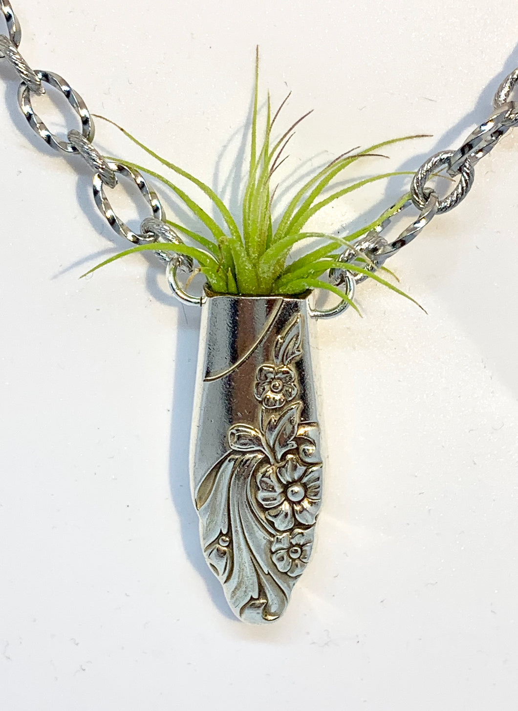 “Evening Star” Air Plant Necklace