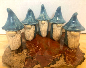 Blue Gnomes